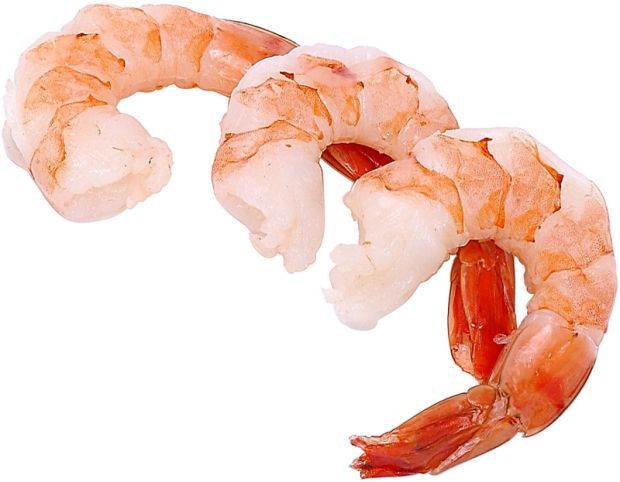 Shrimp (free clipart)